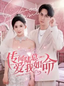 传闻陆总爱我如命
